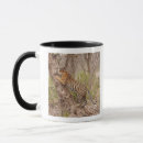 Search for asian tiger mugs Wildlife