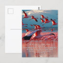 Search for your eye postcards God