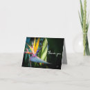 Search for tropical plants cards Nature photography