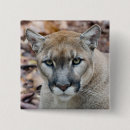 Search for cougar badges Predator