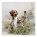 Search for brittany dog posters Hunting