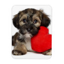 Search for happy valentines day magnets Adorable