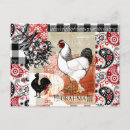Search for brahma chicken postcards Chickens