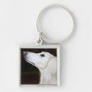 Search for looking up key rings Animal