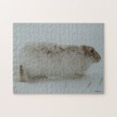 Search for hare puzzles Rabbit