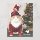 Search for lumberjack christmas cards Funny