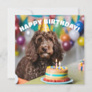 Search for cockapoo birthday cards Dog