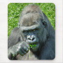 Search for gorilla mousepads Wild animals