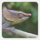 Search for chameleon stickers Scales