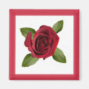 Search for a rose magnets Mother