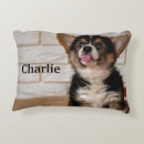 Search for pembroke welsh corgi cushions Animal