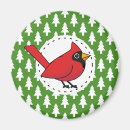 Search for white pine magnets Bird