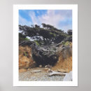 Search for tree of life posters Beach