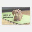 Search for dachshund post it notes Doxie