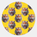 Search for yellow head stickers Wildlife