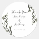 Search for olive leaves stickers Greenery