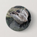 Search for cute otter animal badges Animals