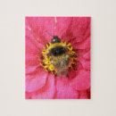 Search for bumblebee puzzles Photography