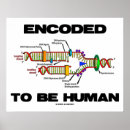 Search for anthropology posters Human