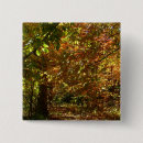 Search for yellow leaves badges Fall