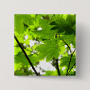 Search for raindrops badges Nature