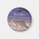 Search for winter white magnets Arctic fox