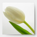 Search for single envelopes Floral