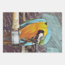 Search for macaw wrap wrapping paper Cute