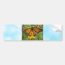 Search for monarch butterfly bumper stickers Insects