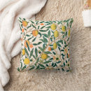 Search for fruit cushions Antique