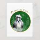Search for shih postcards Tzu