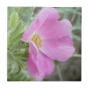 Search for wild rose tiles Roses