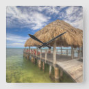 Search for caribbean clocks Ocean