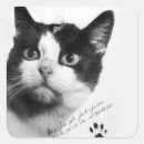 Search for space cats stickers Feline
