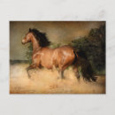 Search for galloping mare Animal