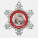 Search for low lying photography Dog