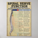 Search for medical illustration posters Vintage