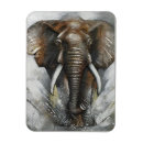 Search for tusks magnets Nature