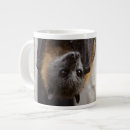 Search for fruit fly mugs Bat