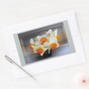Search for narcissus stickers White