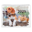 Search for cat calendars Puppy