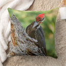 Search for portrait cushions Wildlife photography