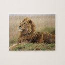 Search for kenya puzzles Big cat