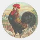 Search for chicken photo stickers Vintage