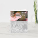 Search for azalea cards Floral