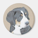 Search for bernese mountain magnets Berner