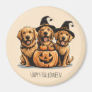 Search for spider lovers magnets Trick or treat