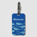 Search for oceans accessories Sealife