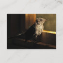 Search for bird watching business cards Animals