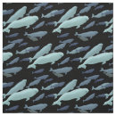 Search for beluga whale crafts party Whales